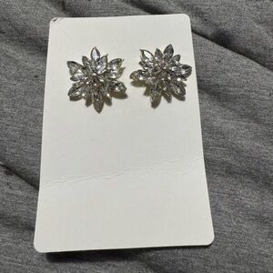 Rhinestone crystal earrings